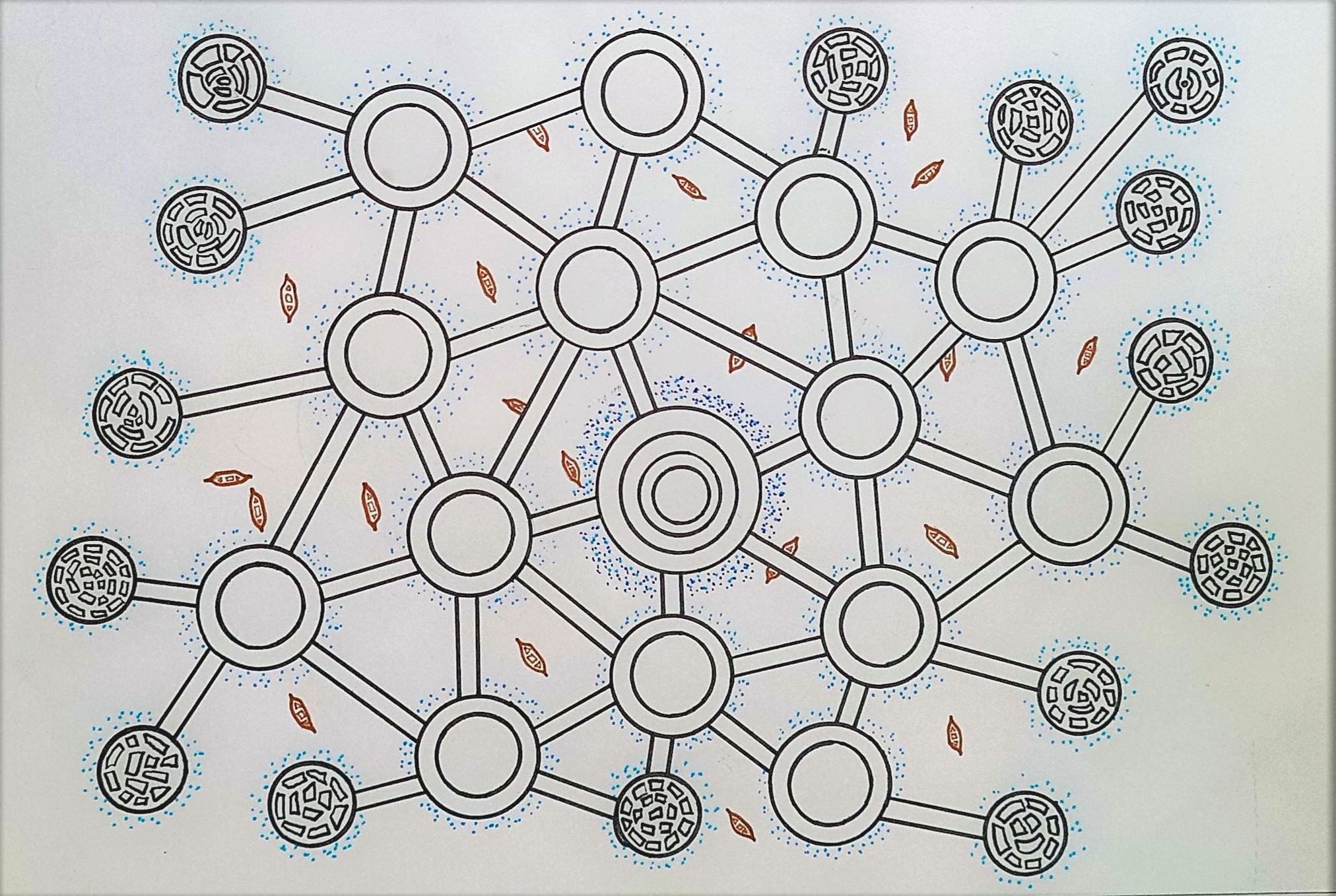 Lined Drawings — Project gallery 1 image 10