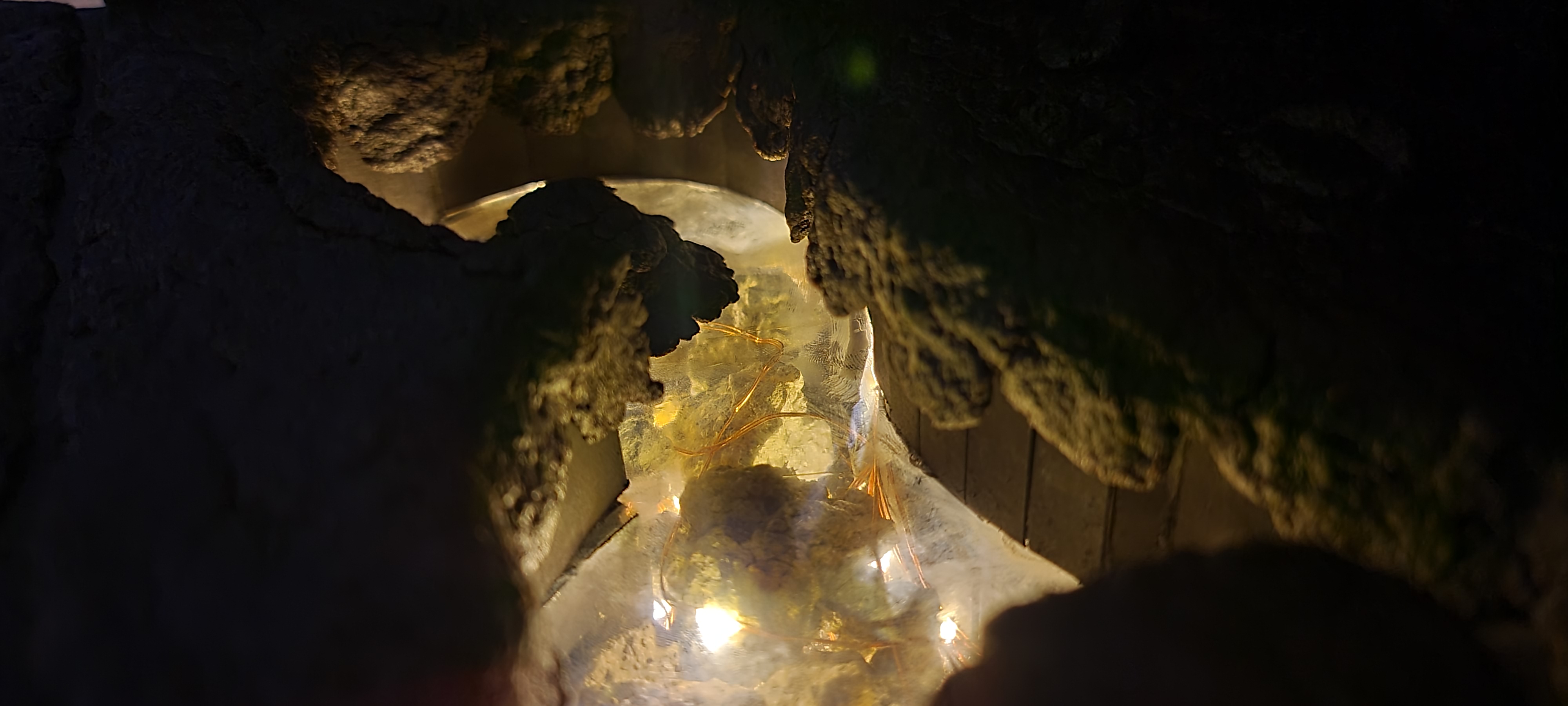 Lava Springs Bath house — Project gallery 3 image 2