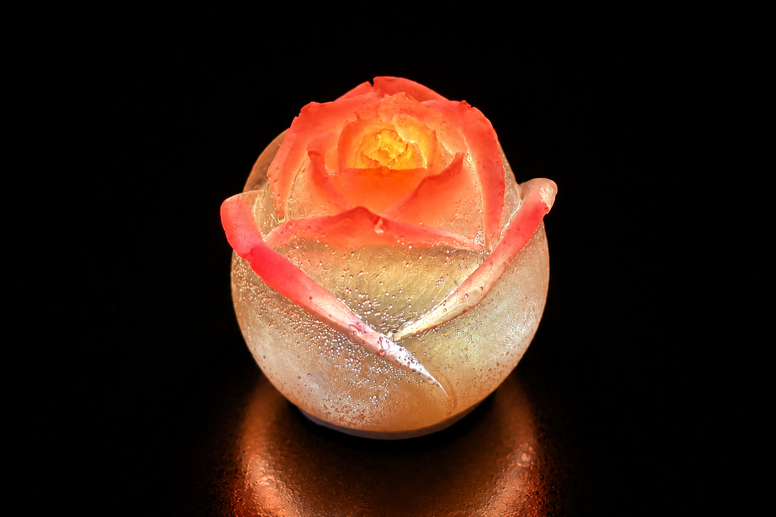 LED Clear Rose with Glow tips 🌹