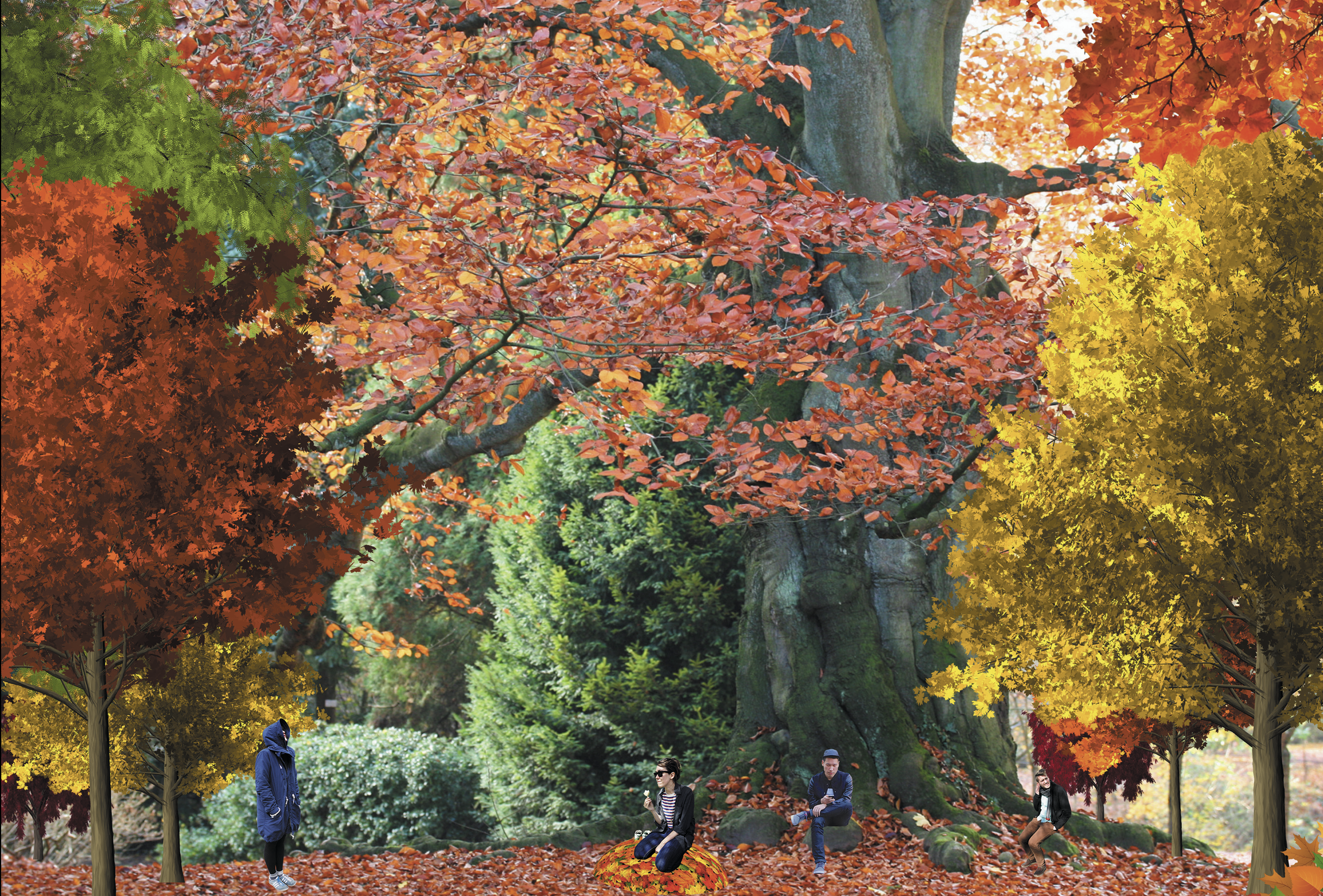 Autumn Tails — Project gallery 1 image 8